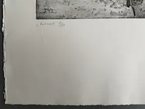 Jeanne Bieruma Oosting - het nest - gesigneerde ets kopen? Bied vanaf 399!