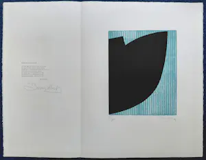 Buy Willem Snitker - met Bertus Aafjes - Park in den winter, tweekleuren kartondruk (1983)? Bid from 45!