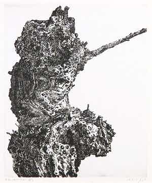 Reinder Homan - Ets, Knoestige stam verkocht voor € 100!