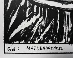 Hannes Postma - De tak die wij zagen, cassette met zes handgesigneerde litho’s kopen? Bied vanaf 250!