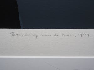 Ton Schulten - Branding van de zon kopen? Bied vanaf 475!