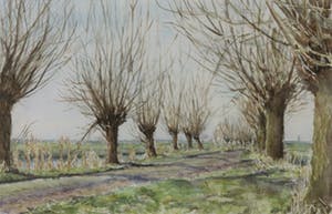 Niet of onleesbaar gesigneerd - Aquarel, Knotwilgen - Ingelijst kopen? Bied vanaf 10!