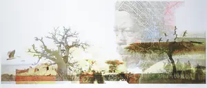 Kim Heesakkers - Foto, Finding my roots - Ingelijst (Groot) kopen? Bied vanaf 50!