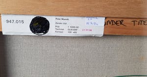 Peter Munnik - zonder titel kopen? Bied vanaf 330!