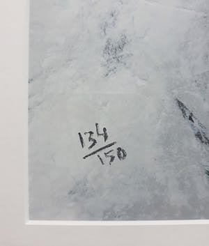 Nico Molenkamp - Giraffe overdag, zeefdruk (mooi ingelijst, groot!) kopen? Bied vanaf 350!