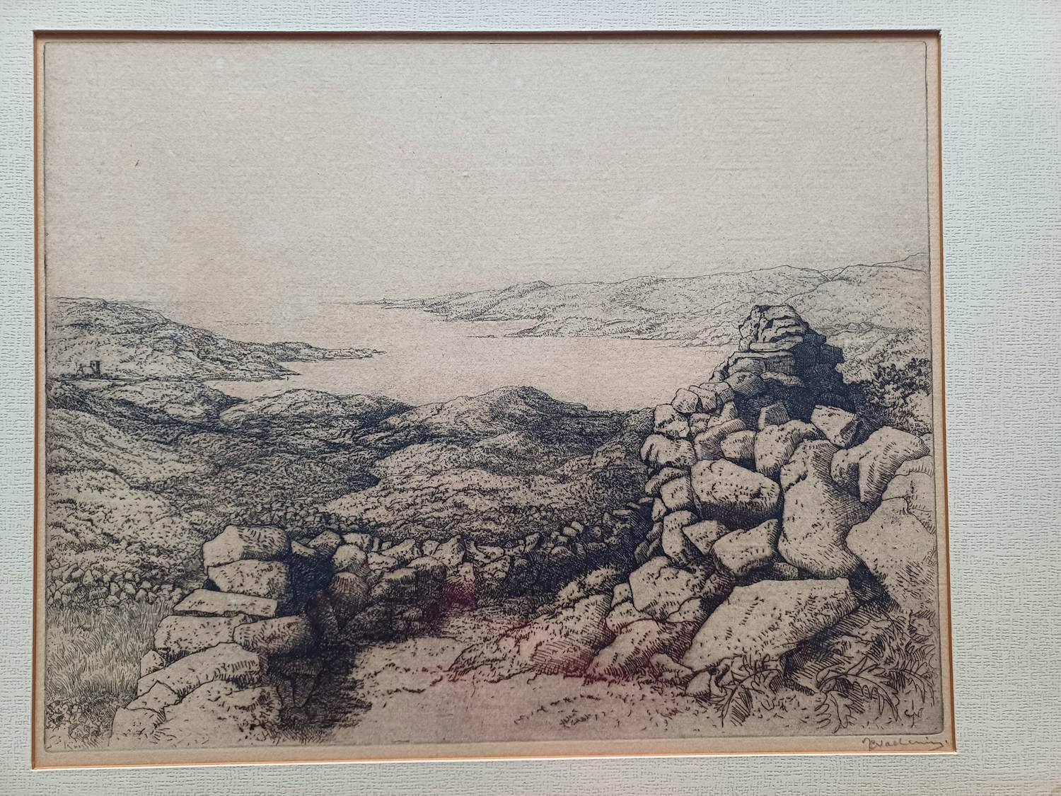 Jan Coenraad Nachenius - Kust landschap kopen? Bied vanaf 20!