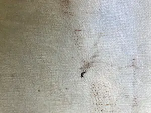 AcheterGerrit Marre - Stadsgezicht? Enchérissez de 100!