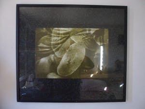 Titus Nolte - Zeefdruk, Titel ,"Groen". Ingelijst kopen? Bied vanaf 10!