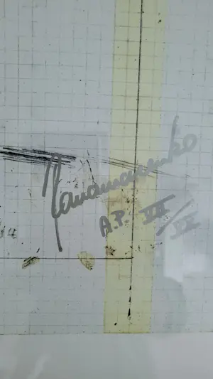 Panamarenko - Panamarenko "Kip 4" - Gesigneerd/genummerd - A.P. kopen? Bied vanaf 600!