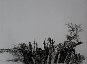 Charles Donker - Ets: Centraal museum 1838-1988, 150 jaar kopen? Bied vanaf 250!