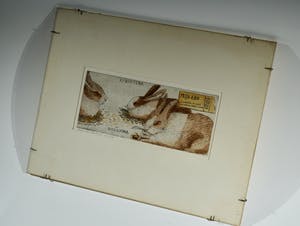 Arja van den Berg - AVICULTURA kopen? Bied vanaf 20!