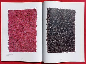 Zhuang Hong Yi - Het monumentale werk, overzichtsboek met gesigneerde zeefdruk (zeer groot) kopen? Bied vanaf 550!