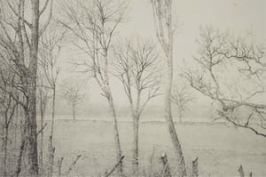 Charles Donker - Winterlanschap in Rhijnauwen, snel dalende kauwen kopen? Bied vanaf 200!