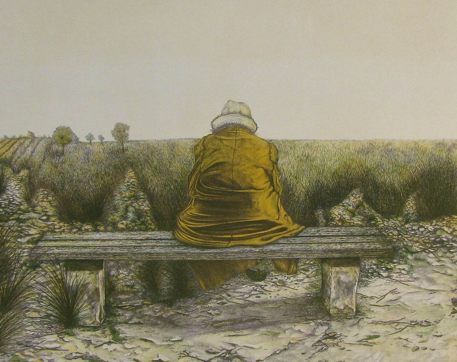 Hans-Jurgen Siegert - 'Het landschap zoals ik het ken', lithografie, EERSTE EXEMPLAAR! kopen? Bied vanaf 25!