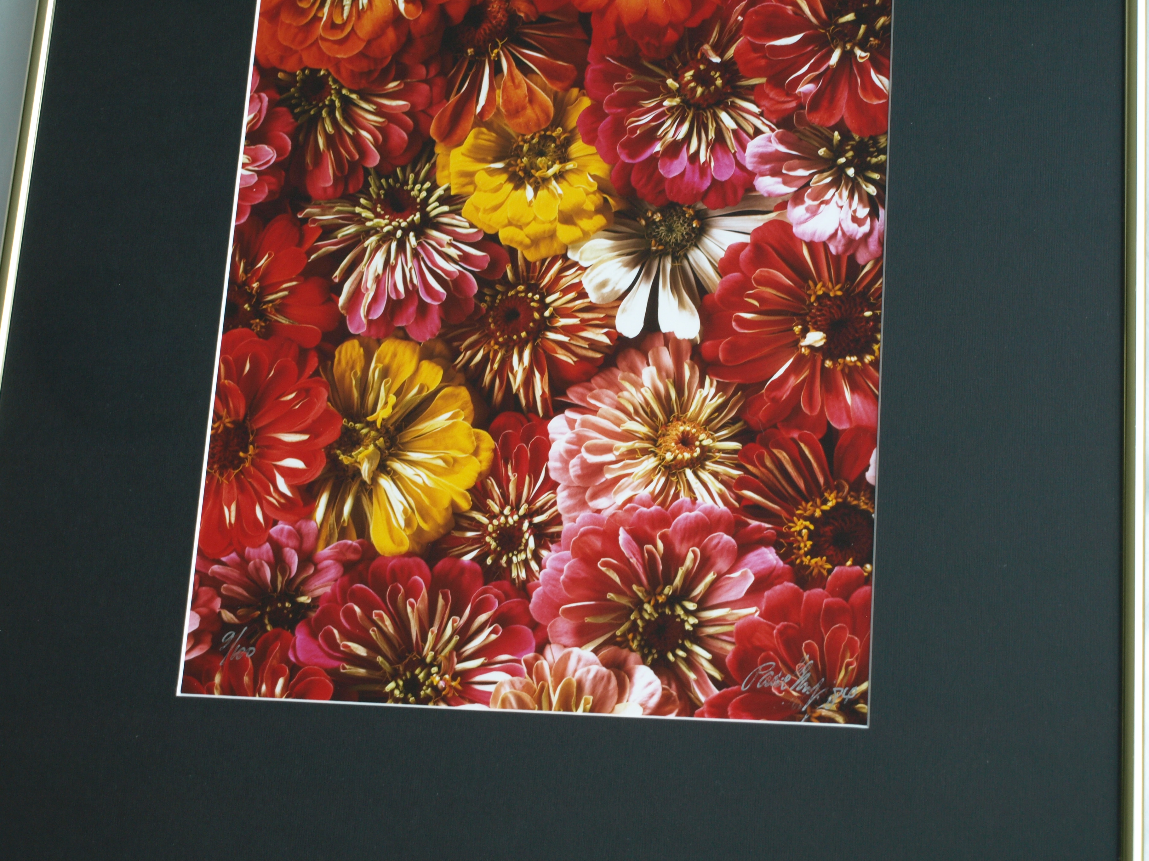 Paul Huf - Foto , Flowers , Bloemen – gesigneerd & ingelijst - 1984 - 60 x 50 cm kopen? Bied vanaf 75!
