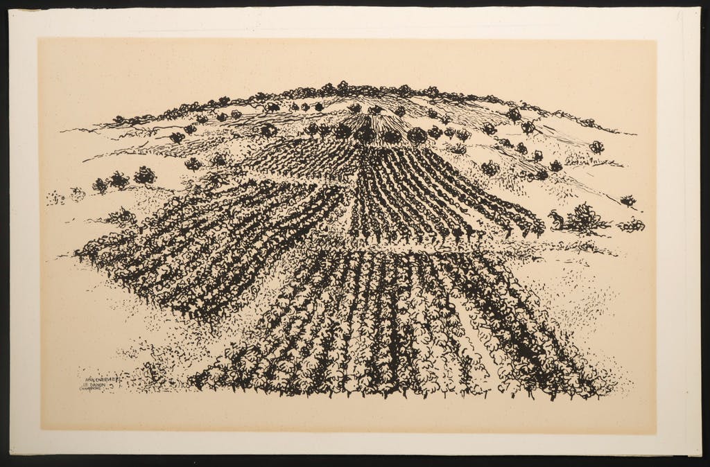 Ank Overweel - Pen en inkt, Le danon champagne kopen? Bied vanaf 1!