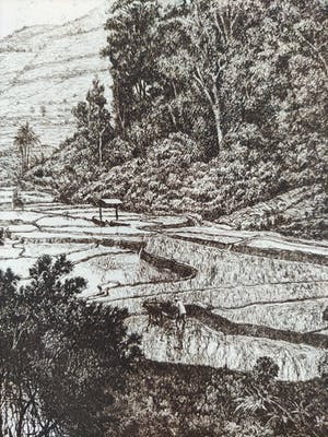 Dirk Homberg - Ravijn met sawah kopen? Bied vanaf 100!