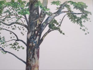 Raymond Mason - Platane - Aquarel kopen? Bied vanaf 400!