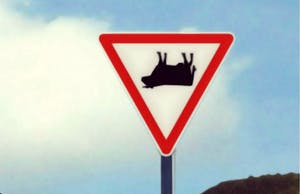 Mr. Strange - Attention aux vaches kopen? Bied vanaf 50!