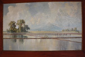 Ernest Dezentje - DE elementen, vulkaan, sawa en palmboom kopen? Bied vanaf 135!