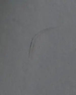 Hans Landsaat - Zeefdruk, Poort - Ingelijst kopen? Bied vanaf 60!