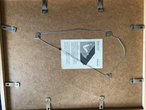 Anton Rooskens - Printemps kopen? Bied vanaf 75!