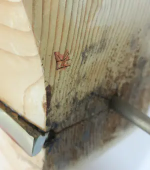 Frans Kokshoorn - Sculptuur van hout met metalen elementen kopen? Bied vanaf 150!