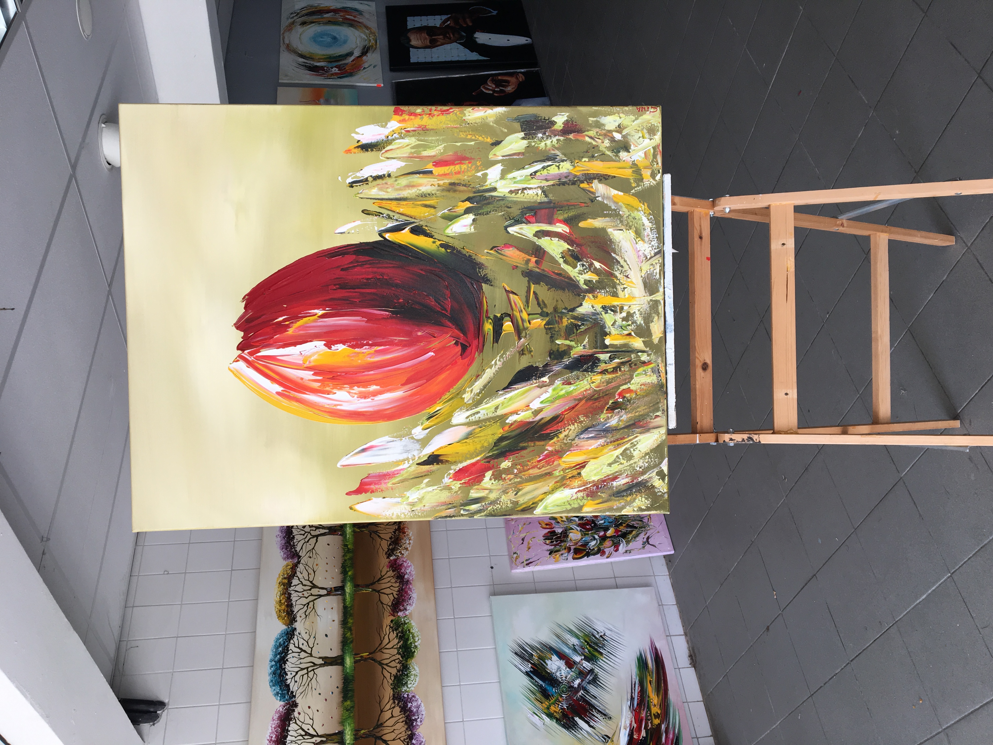 Gena Genadyj - Fantasie tulp kopen? Bied vanaf 1!