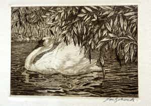 Jan Schonk - Afbeelding van een zwaan. verkocht voor € 15!