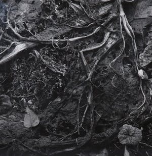 Jos Reinders - Foto, Natuur en Cultuur 2B - Ingelijst kopen? Bied vanaf 50!