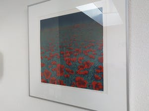 Hans Dolieslager - Klaprozen - kopen? Bied vanaf 120!