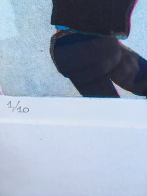 Betty Brink - Handgesigneerde kleurenets z.t. kopen? Bied vanaf 45!