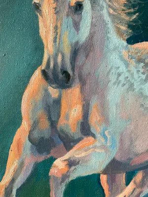 Niet of onleesbaar gesigneerd - paard in galop kopen? Bied vanaf 1!