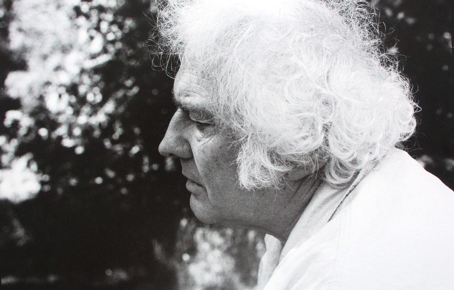 Steye Raviez - Foto: Jan Wolkers verkocht voor € 20!