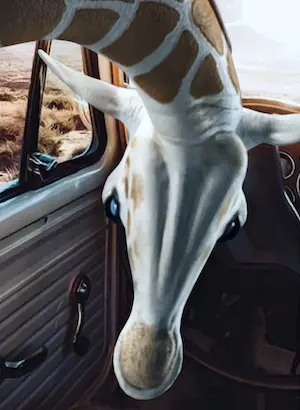 Mr. Strange - L' Aventurière kopen? Bied vanaf 40!