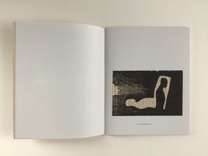 Dianne Bakker - Linosnede 'De dood' 2012 - Plus boek Biblioteca (Luxe ed.) 2014 kopen? Bied vanaf 225!