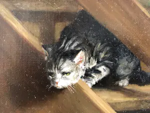 Peter Albert Speier - Kätzchen kopen? Bied vanaf 150!