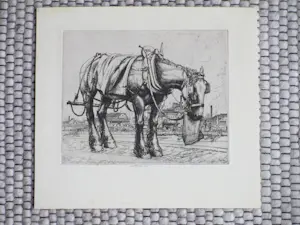 Robert Sargent Austin - Fouragerend paard - Ets kopen? Bied vanaf 75!