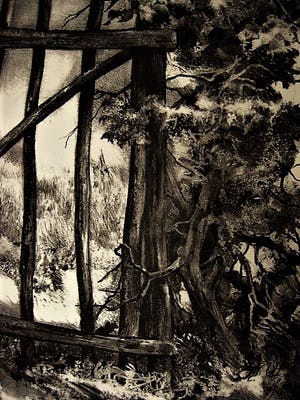 Aart van Dobbenburgh - Fraai Realistisch 1963 Litho "Landhek in Limburg" gesigneerd kopen? Bied vanaf 10!