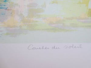 Nicole Schaap - Level du soleil + coucher du soleil (2 grote zeefdrukken) kopen? Bied vanaf 90!