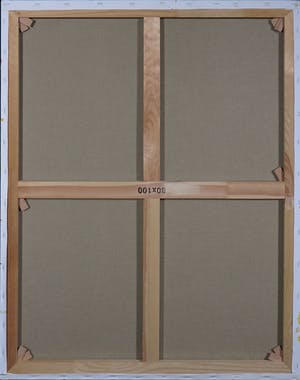 Pieter Haan - Acryl op doek, Zonsondergang met vogels Groot) kopen? Bied vanaf 1!