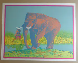 Antonio Segui - ELEPHANT / KLERULITHO / 547x0cm / SIG / 1973 / PRENT190 kopen? Bied vanaf 25!