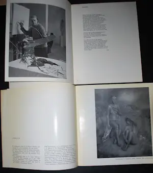 Buy Wim Schuhmacher - 2 catalogi, uit 1964 en 1974 &krantenartikel &ingelijste foto tentoonstelling? Bid from 50!