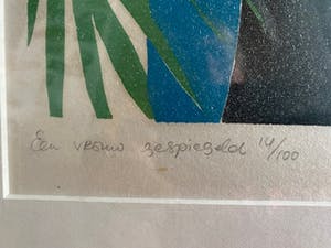 Irene van den Bos - een vrouw gespiegeld kopen? Bied vanaf 50!