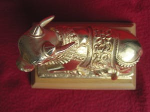 Brons (Onbekend) - Nandi heilige stier kopen? Bied vanaf 40!