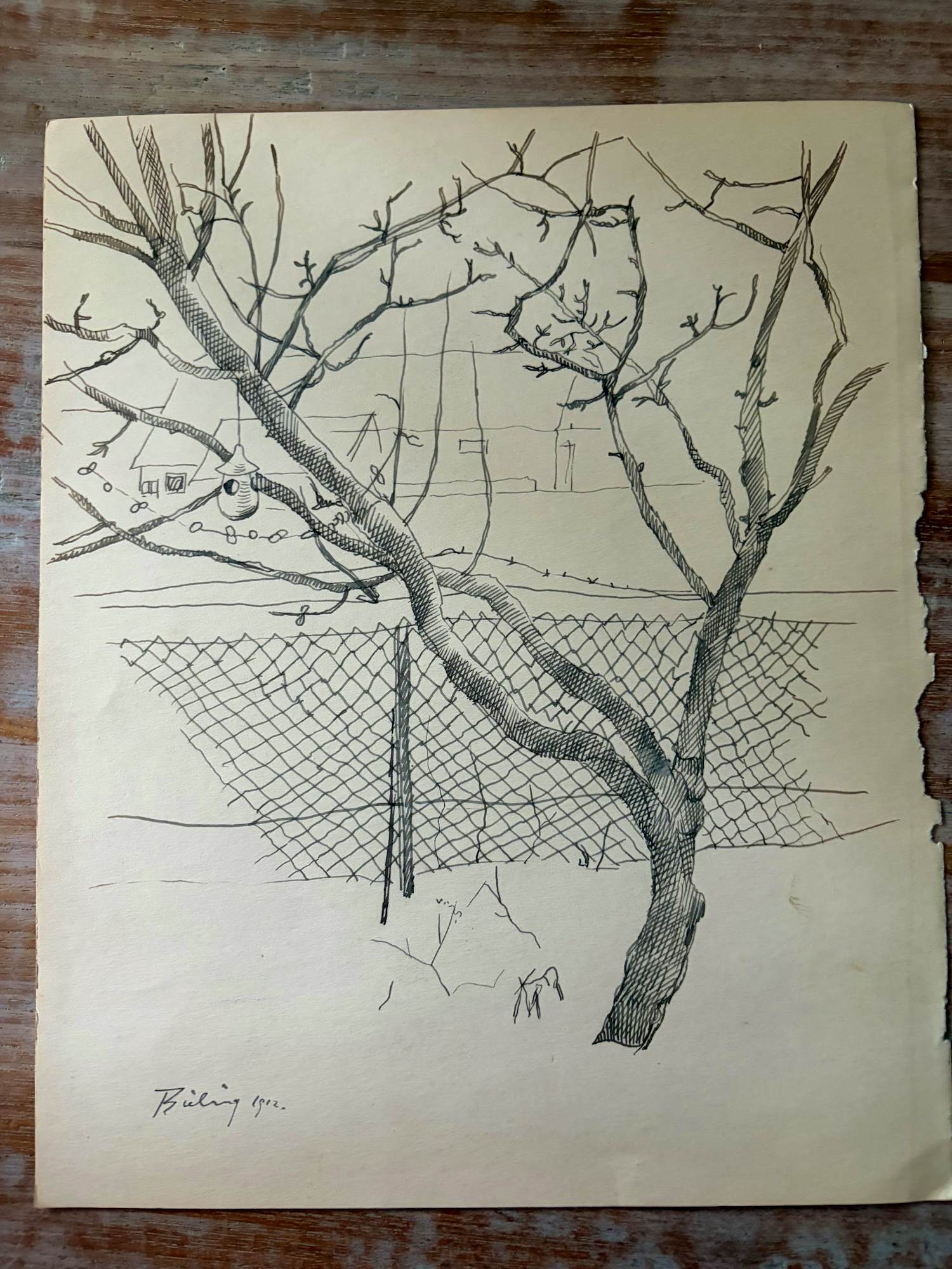 Herman Bieling - Tekening/studietekening Boom met voederhuisje, tekening verso kopen? Bied vanaf 40!