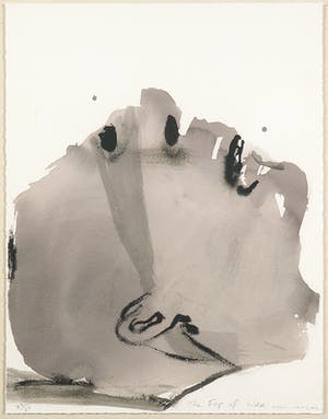 Marlene Dumas - The Fog of War - Ingelijst kopen? Bied vanaf 1!