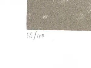 AcheterDan Van Severen - Gesigneerde lithografie, 1975? Enchérissez de 249!