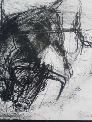 Piet Klaasse - Stier. Houtskool en waterverf. kopen? Bied vanaf 59!