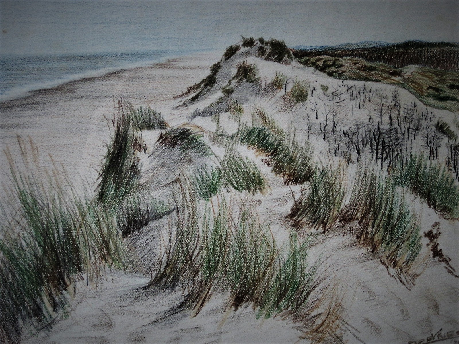 Sjoerd de Vries - gesigneerde Aquarel van Duinlandschap op Terschelling in 1945  kopen? Bied vanaf 1!